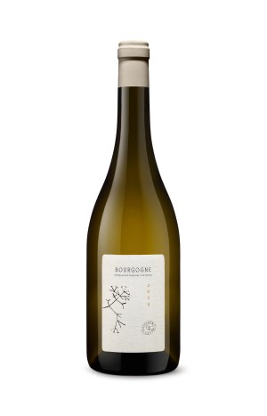 Guillaume Lafon: Bourgogne Blanc 2024 0,75l